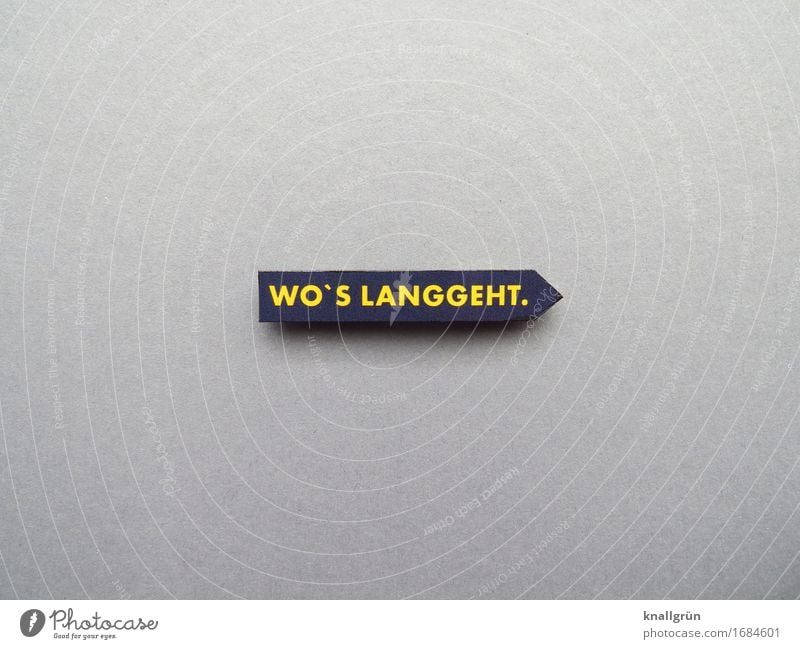 WHERE'S LONG GONE? Characters Signs and labeling Communicate Sharp-edged Yellow Gray Black Emotions Power Brave Determination Resolve Competent Planning