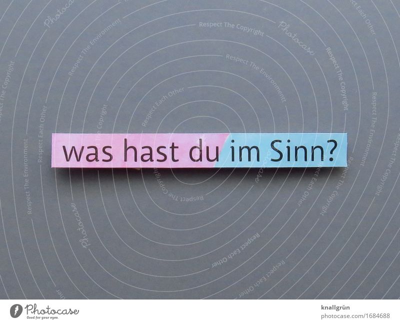 What do you have in mind? Ask Text Insecure Perplexed Irritation Question mark Communicate Characters communication Letters (alphabet) Neutral Background