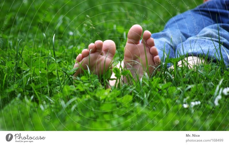 bläck fööss Exterior shot Pedicure Well-being Relaxation Calm Infancy Skin Legs Feet Nature Spring Summer Grass Moss Garden Meadow Jeans Spring fever