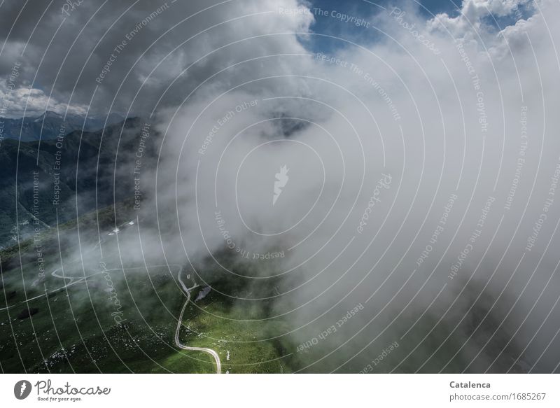 In the clouds, aerial view Leisure and hobbies paraglide Landscape Plant Air Sky Clouds Summer Beautiful weather Field Forest Peak Lanes & trails Flying