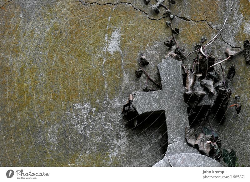 R.I.P. Colour photo Subdued colour Exterior shot Deserted Copy Space left Cemetery Old Gloomy Warmth Goodness To console Calm Sadness Grief Death Crucifix Ivy