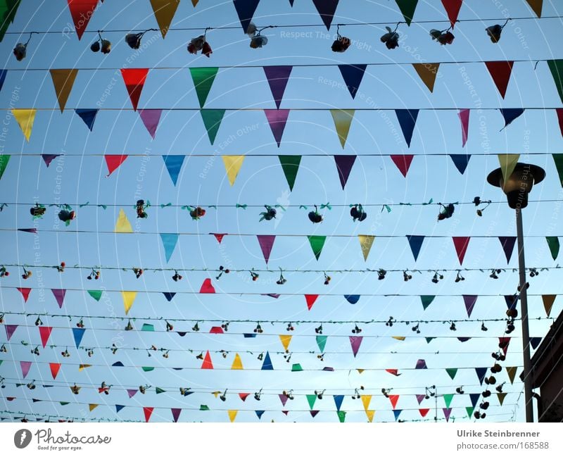 Many colorful pennants and bouquets as decoration in the streets of Pula Joy Decoration Event Feasts & Celebrations Fairs & Carnivals Fishing village