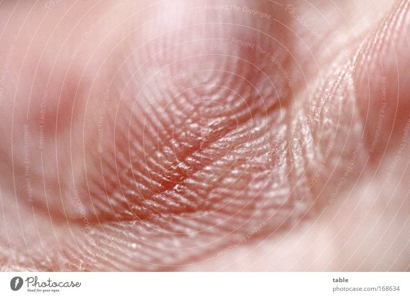 tracks Colour photo Subdued colour Macro (Extreme close-up) Pattern Structures and shapes Body Skin Illness Senses Massage Health care Masculine Hand