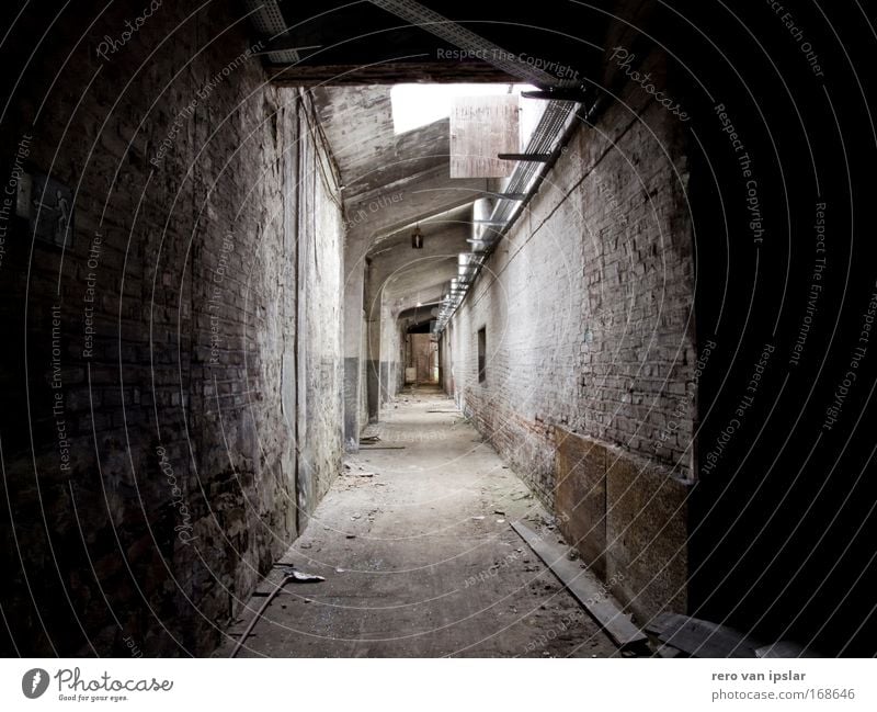 gang Interior shot Deserted Day Industrial plant Factory Building Architecture Corridor Decline