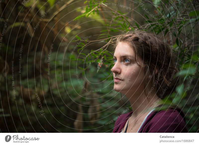 Where to go next? Portrait of a young woman in dense vegetation Trip Hiking Young woman Youth (Young adults) 1 Human being 18 - 30 years Adults Nature Plant