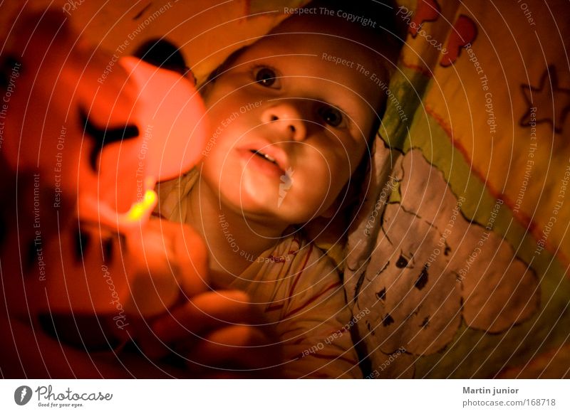 Home sweet home! Colour photo Multicoloured Interior shot Evening Night Artificial light Light Portrait photograph Forward Human being Masculine Child Toddler