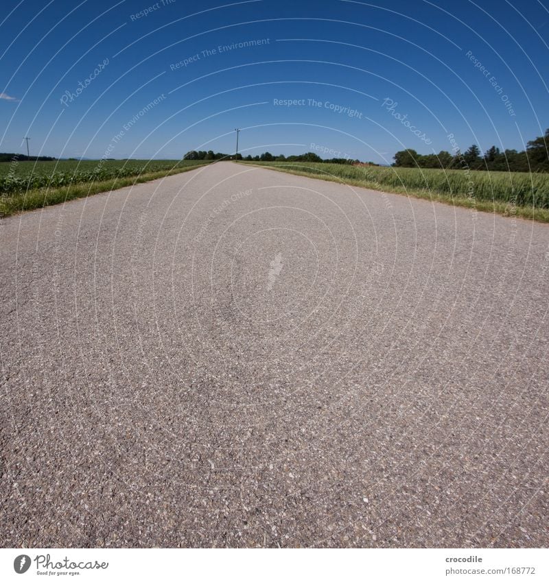 Field path II Colour photo Multicoloured Exterior shot Deserted Copy Space top Copy Space bottom Copy Space middle Day Shadow Contrast Deep depth of field