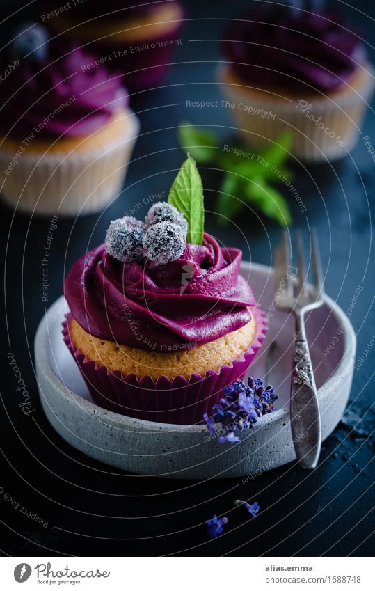 cupcakes Food Fruit Cake Dessert Eating To enjoy Dark Sweet Violet Cupcake Muffin Baked goods Dish Food photograph Embellish moody availabe light Sugar