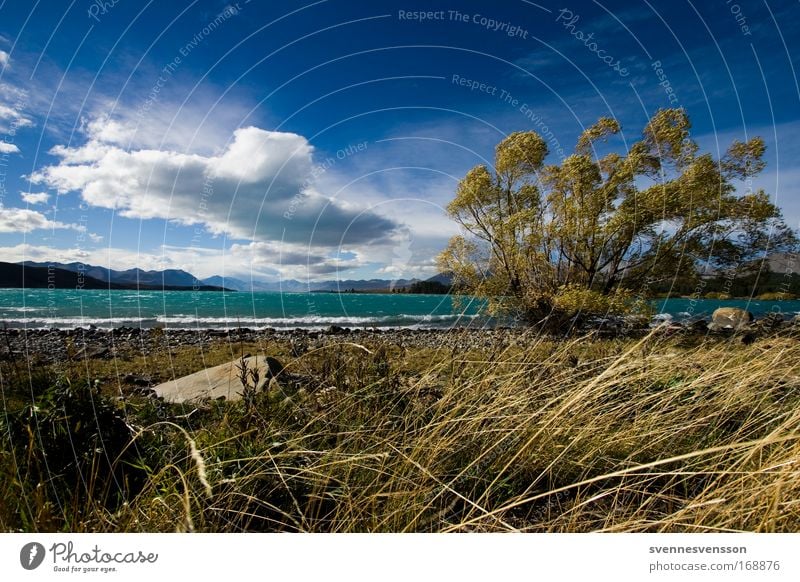 Lake Tekapo (NZ) Colour photo Exterior shot Deserted Day Central perspective Environment Nature Landscape Plant Water Sky Clouds Horizon Autumn