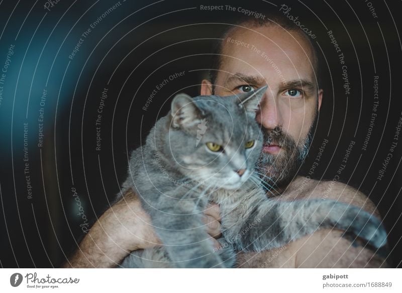 Man with cat on arm Human being Masculine Adults Facial hair 1 Animal Pet Cat Carrying Cuddly naturally Cute Wild Soft Blue Brown Gray Emotions Agreed