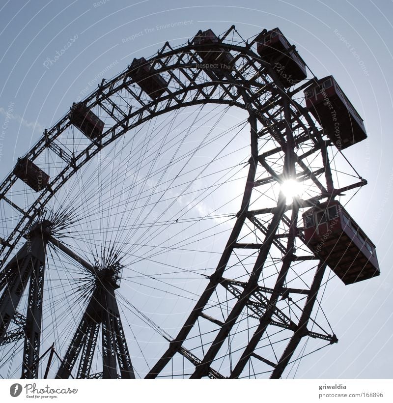 Ferris wheel Colour photo Exterior shot Deserted Day Silhouette Sunlight Back-light Worm's-eye view Amusement Park Prater Trip City trip Sky Cloudless sky