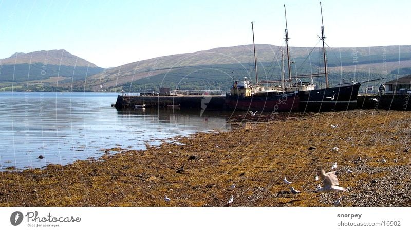 The harbour Lake Scotland Watercraft Reflection Europe Inveraray Harbour seagull Americas Electricity pylon Sail Mountain