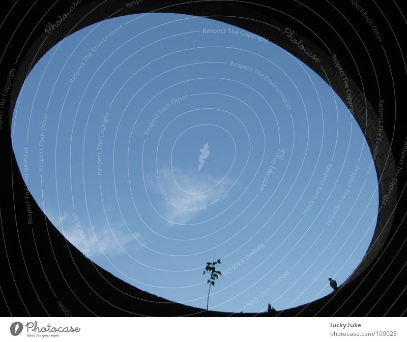 sky detail Colour photo Exterior shot Abstract Deserted Copy Space left Copy Space right Copy Space top Copy Space bottom Copy Space middle Day Shadow Contrast