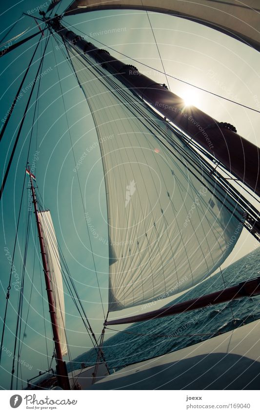 awning Colour photo Exterior shot Day Sunlight Sunbeam Back-light Deep depth of field Joy Leisure and hobbies Vacation & Travel Adventure Far-off places Freedom