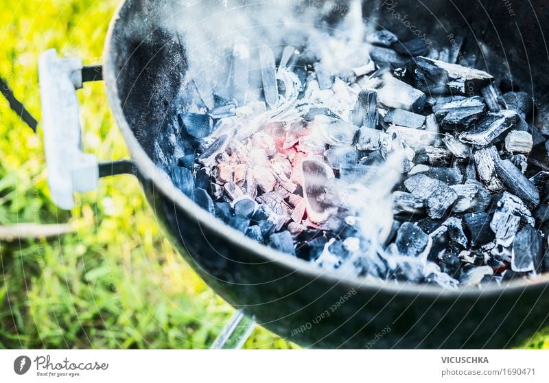 Hot coals with smoke in grill Lifestyle Joy Leisure and hobbies Summer Garden Party Beautiful weather Warmth Grass Park Meadow Barbecue (apparatus)