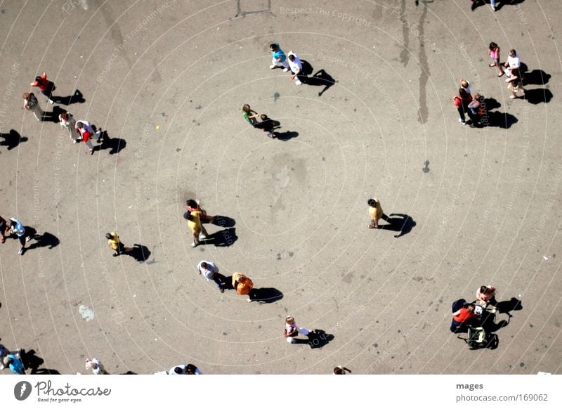 flyover Populated Passenger traffic Pedestrian Street Lanes & trails View from the airplane Concrete Going Small Thin Shadow Colour photo Exterior shot Day