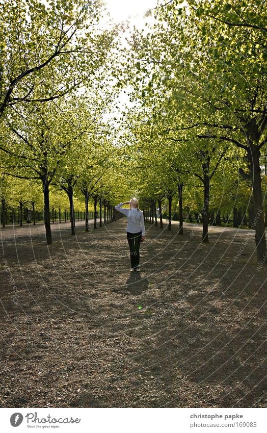 Off through the middle Colour photo Exterior shot Day Shadow Sunlight Central perspective Front view Looking Looking into the camera Forward Vacation & Travel