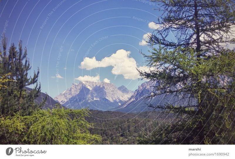 outlook Nature Landscape Plant Sky Clouds Sun Summer Hill Mountain Snowcapped peak Glacier Moody Zugspitze Austria Vacation & Travel Vacation mood