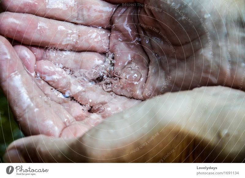 hand Human being Skin Hand Fingers Nature Water Drops of water Rain Waterfall Touch Movement To enjoy Fresh Healthy Hot Cold Contentment