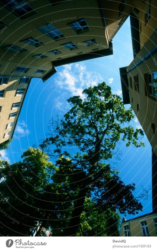 limited habitat Colour photo Exterior shot Deserted Day Light Contrast Wide angle Nature Sky Clouds Plant Tree Town House (Residential Structure) Building