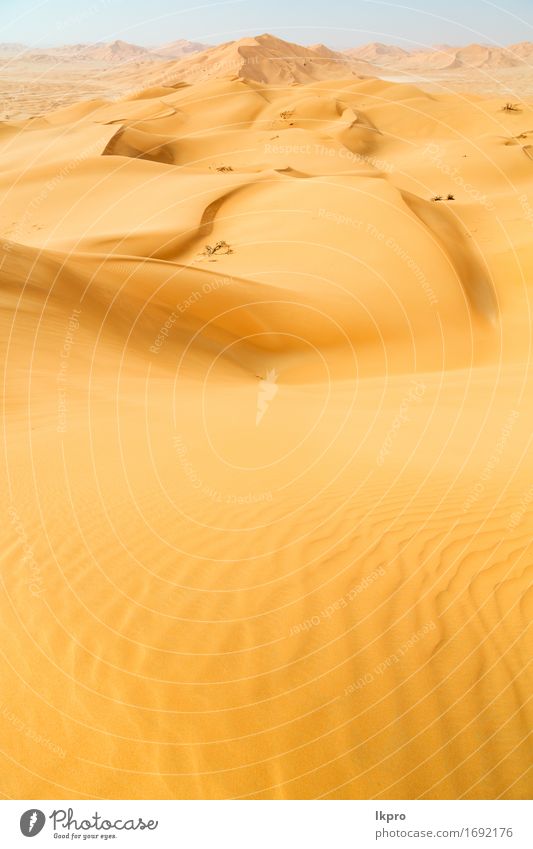 sand dune in oman old desert rub al khali Beautiful Vacation & Travel Tourism Adventure Safari Summer Sun Nature Landscape Sand Sky Horizon Park Hill Rock Stone