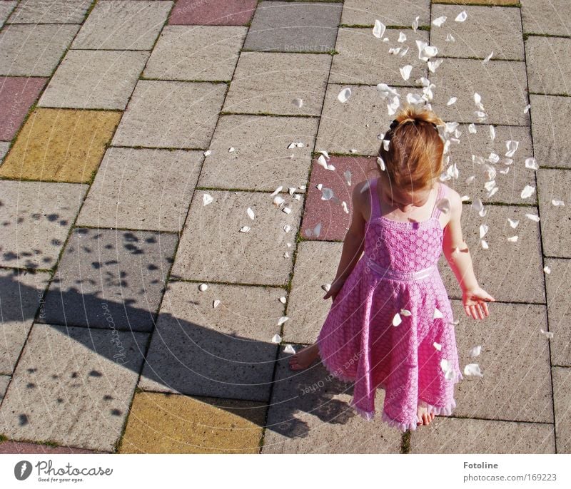 White roses shall rain for me II Colour photo Exterior shot Day Shadow Sunlight Bird's-eye view Downward Human being Child Girl Infancy 1 3 - 8 years Earth