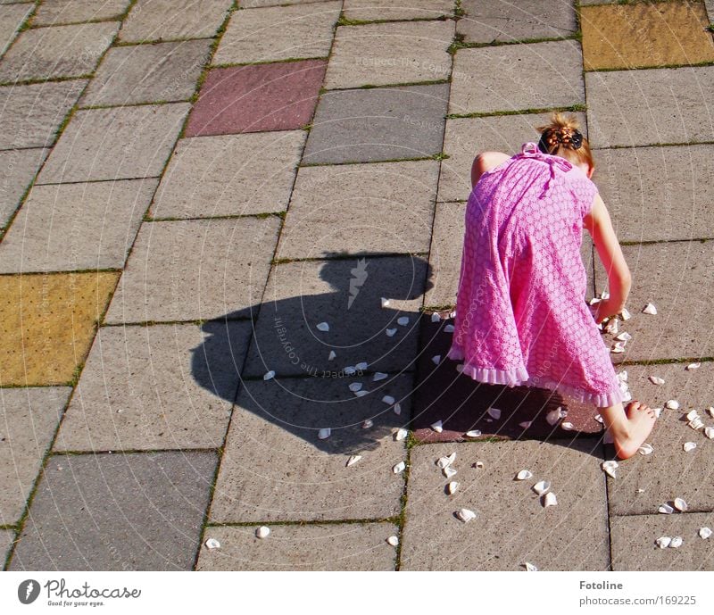 White roses shall rain for me III Colour photo Exterior shot Copy Space left Copy Space top Day Shadow Sunlight Bird's-eye view Rear view Human being Child Girl