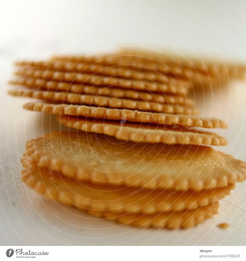 Kecksparty (cookie party) Multicoloured Close-up Macro (Extreme close-up) Pattern Structures and shapes Deserted Copy Space top Neutral Background Morning Day