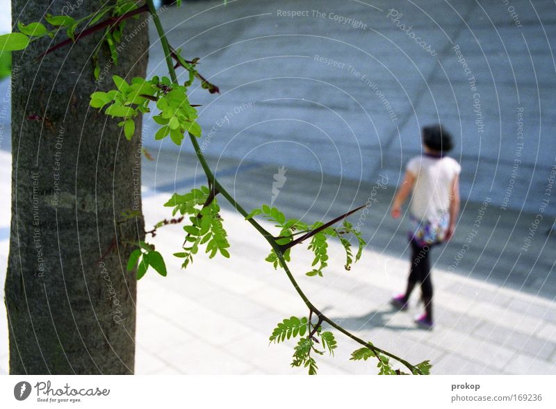 Forecasting rainy days Colour photo Exterior shot Day Shadow Contrast Shallow depth of field Central perspective Long shot Full-length Rear view Forward