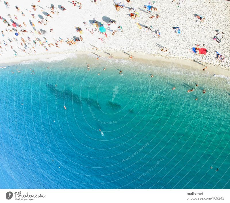 Place in the sun Wellness Swimming & Bathing Summer Summer vacation Sunbathing Beach Island Waves Aquatics Crowd of people Sand Beautiful weather Coast Lakeside