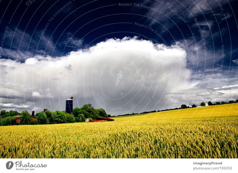 farm landscape Colour photo Exterior shot Deserted Day Contrast Sunlight Deep depth of field Central perspective Wide angle Nature Landscape Sky Clouds