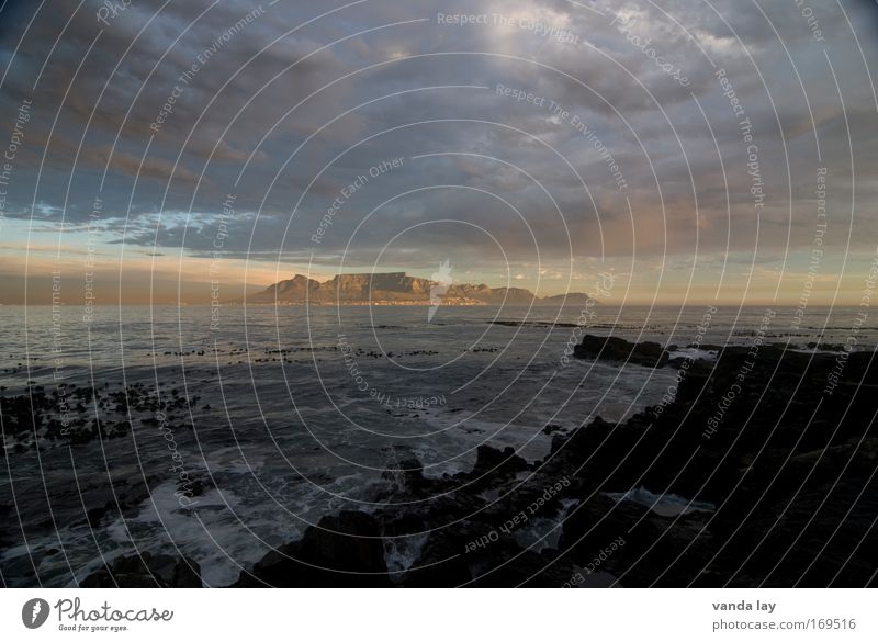 Table Mountain Colour photo Exterior shot Deserted Copy Space top Day Vacation & Travel Far-off places City trip Beach Ocean Environment Elements Earth Sand