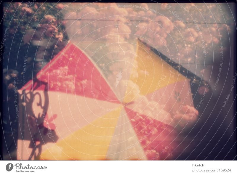 One Thousand Umbrellas Colour photo Subdued colour Exterior shot Experimental Deserted Morning Light Shadow Light (Natural Phenomenon) Long exposure Blur Style