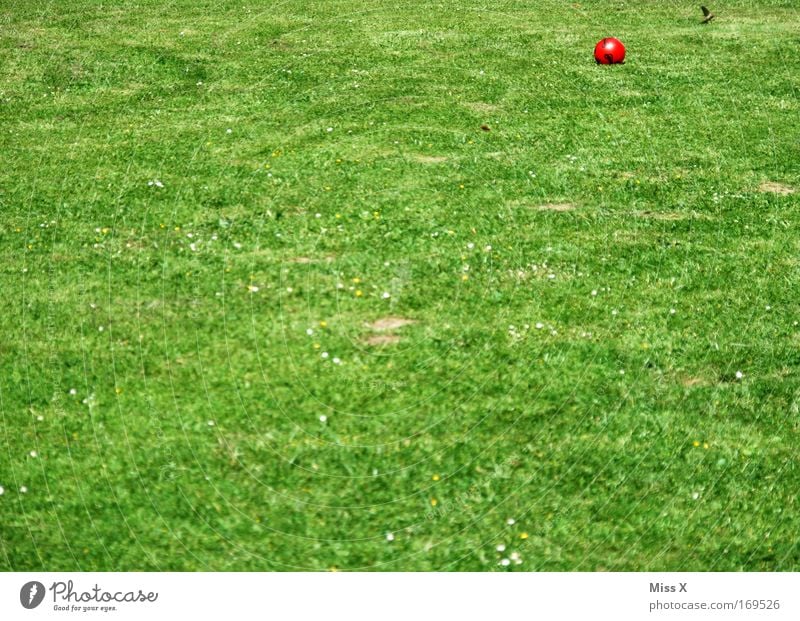 a garden picture for Jutta Colour photo Multicoloured Exterior shot Deserted Garden Nature Grass Green Empty Ball Lawn Football pitch