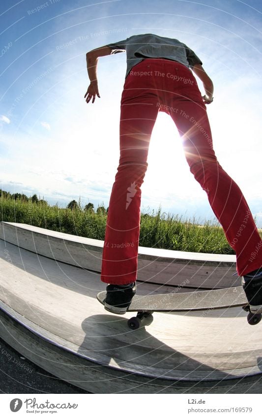 A PERFECT DAY Colour photo Exterior shot Copy Space left Contrast Sunlight Sunbeam Back-light Full-length Rear view Sports Sportsperson Skateboard Thin Crazy