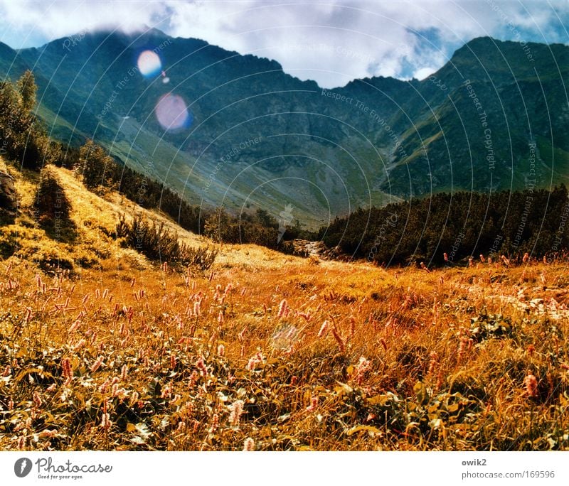 mountain meadow Colour photo Multicoloured Exterior shot Deserted Morning Light (Natural Phenomenon) Sunlight Sunbeam Back-light Vacation & Travel Tourism Trip