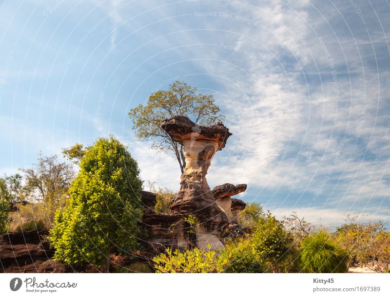 Sao Chaliang Landscape, Amazing Natural of rock Beautiful Vacation & Travel Tourism Mountain Nature Sky Park Forest Rock Canyon Lanes & trails Stone Blue Cliff