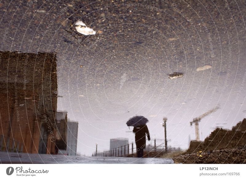 Well-deserved rain walk Colour photo Exterior shot Close-up Copy Space top Copy Space middle Day Reflection Blur Shallow depth of field Rear view Human being