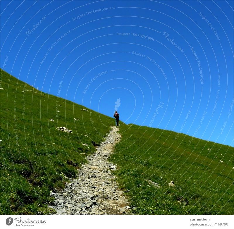 This way... Multicoloured Exterior shot Copy Space top Day Contrast Silhouette Beautiful weather Hill Alps Mountain Beard Petting zoo 1 Animal Hiking Warmth