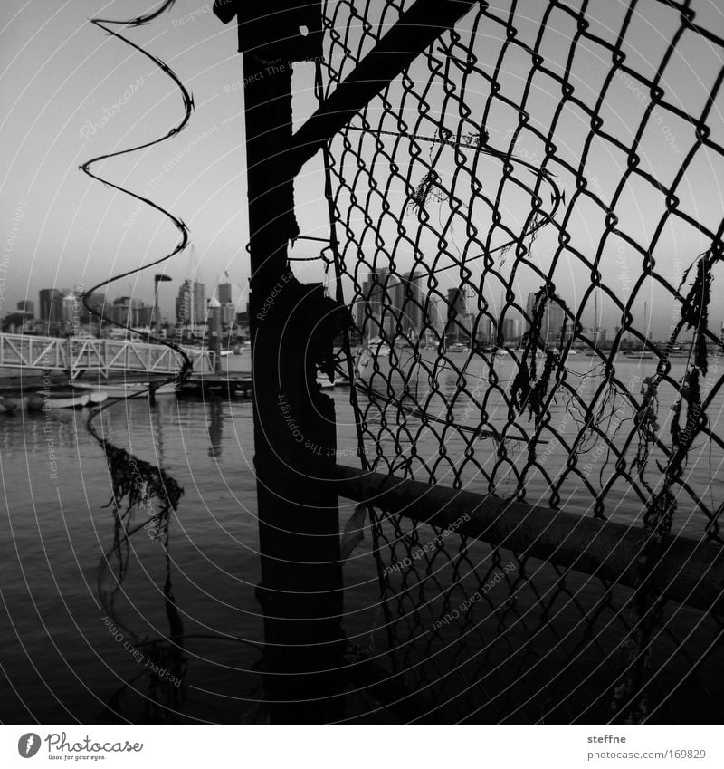 Moschendrohtßaun Black & white photo Exterior shot Twilight San Diego USA Port City Skyline Fence Wire netting fence Dark Broken Town