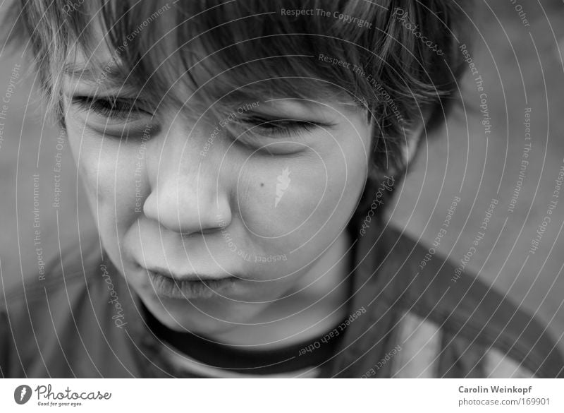 Bocklos. Black & white photo Exterior shot Close-up Day Shadow Contrast Shallow depth of field Bird's-eye view Wide angle Portrait photograph Front view