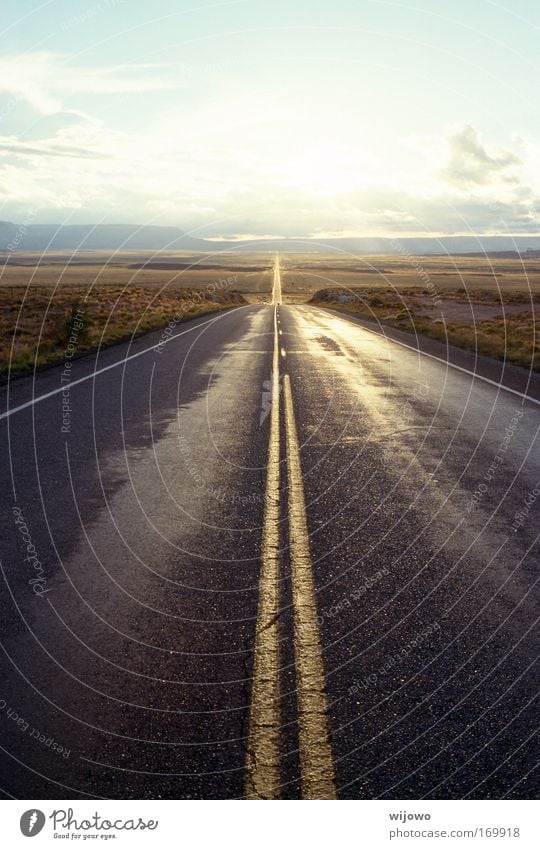 back there Colour photo Subdued colour Exterior shot Deserted Copy Space top Copy Space bottom Day Twilight Central perspective Vacation & Travel Far-off places