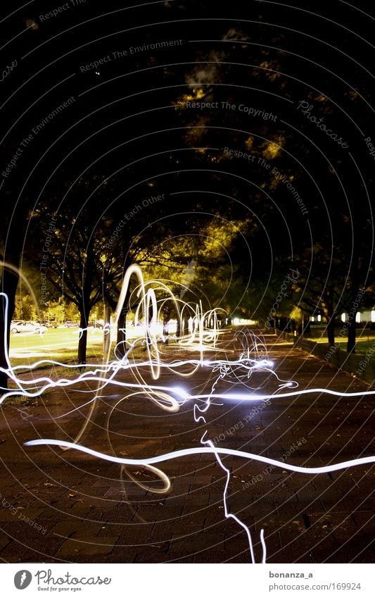 light dance.2 Colour photo Exterior shot Experimental Copy Space top Contrast Light (Natural Phenomenon) Art Dance Nature Deserted Road traffic Street Movement