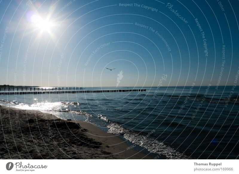 beach flight Colour photo Exterior shot Deserted Copy Space right Copy Space top Copy Space bottom Evening Silhouette Reflection Sunlight Sunbeam