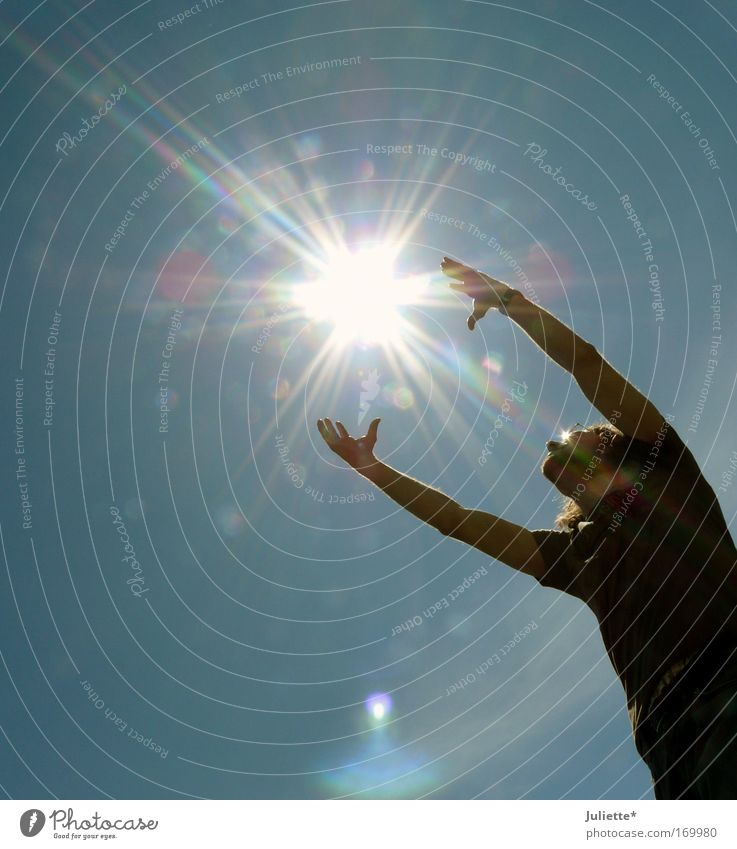 Catch the sun Colour photo Exterior shot Day Light Contrast Silhouette Sunlight Upward Masculine Man Adults Life 1 Human being Sky Cloudless sky Horizon Summer