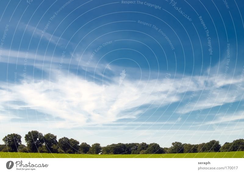 Pastureland Background picture Rural Meadow Field Sky Clouds Nature Landscape Freedom relaxation Peace distance vision Horizon Minimalistic easiness country