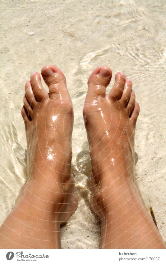 footbath Colour photo Exterior shot Reflection Sunlight Sunbeam Vacation & Travel Tourism Far-off places Freedom Summer vacation Sunbathing Beach Ocean Island