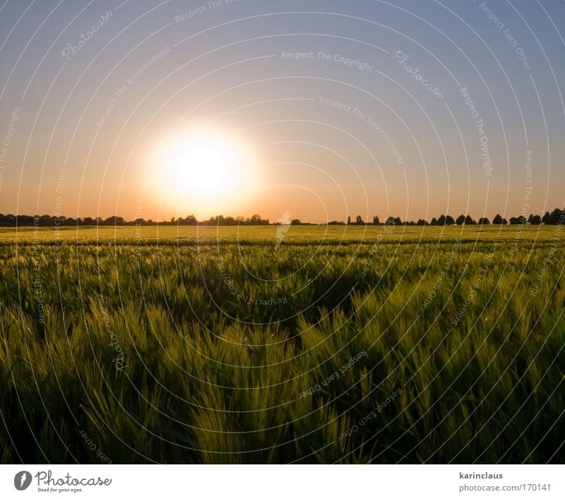 summer glow Colour photo Exterior shot Deserted Copy Space right Copy Space bottom Dawn Twilight Sunrise Sunset Deep depth of field Central perspective