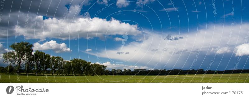 Brandenburg outing Colour photo Exterior shot Day Panorama (View) Landscape Sky Clouds Field tree-lined avenue Bouquet Relaxation To enjoy Infinity Euphoria