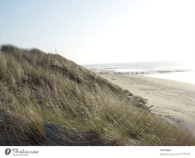 backlight Netherlands Europe Beach near Domburg